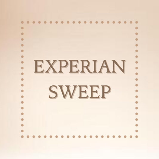 EXPERIAN SWEEP