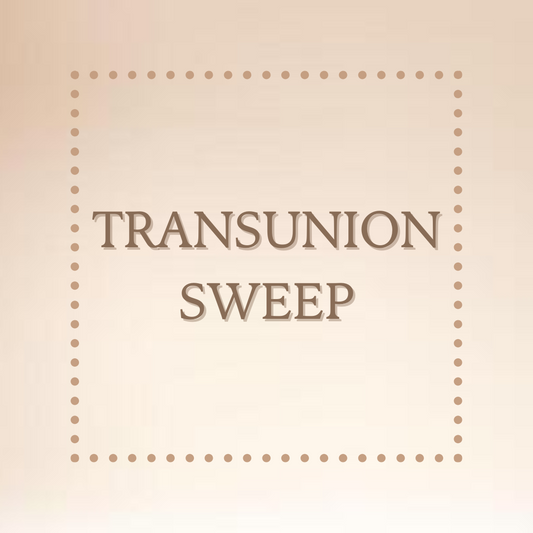 TRANSUNION SWEEP